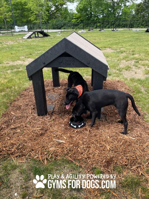 Dog Playground Equipment Tunnel House LX 05