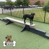 dog park equipment jump balance beam 01