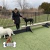 dog park equipment jump balance beam 04