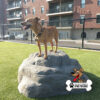 dog playground equipment luxury climbing boulder l 03