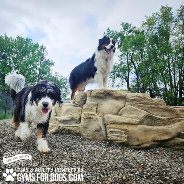 dog playground equipment luxury climbing boulder l 09