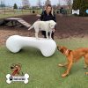 Dog Playground Equipment Agility Bone LG 01