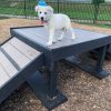 Dog Playground Equipment Bridge Climb LX 29 013