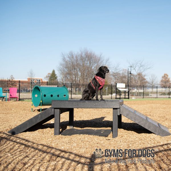 Dog Playground Equipment Bridge Climb LX 29 09