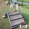 Dog Playground Equipment Mini Hill Climb LX 03
