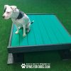 Dog Playground Equipment Training Platform SM 04