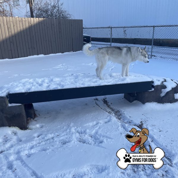 dog park equipment ellies boulder bridge pro 08