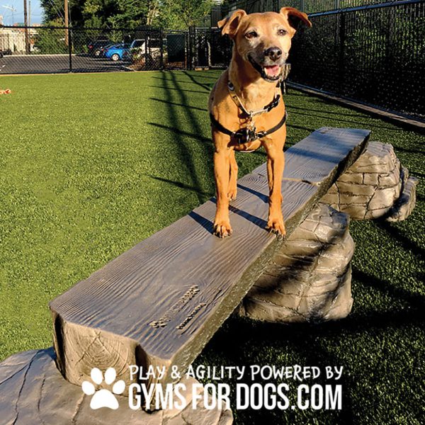dog playground equipment ellies jump balance beam 02