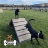 dog playground equipment hill climb 02