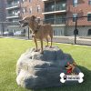 dog playground equipment luxury climbing boulder l 03