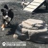dog playground equipment luxury climbing boulder l 07