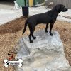 dog playground equipment luxury climbing boulder sm 02