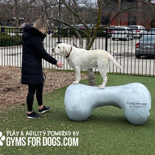 Dog Playground Equipment Agility Bone Small 04