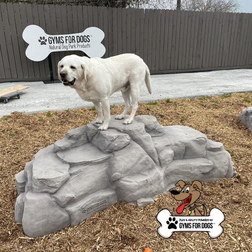 Dog Playground Equipment Luxury Climbing Boulder XL 01