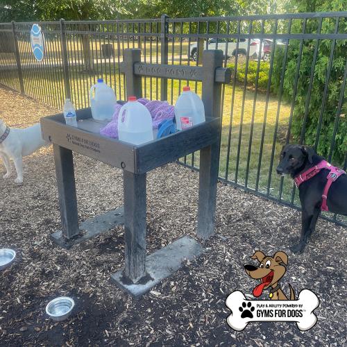 dog playground equipment leash post toy box 10