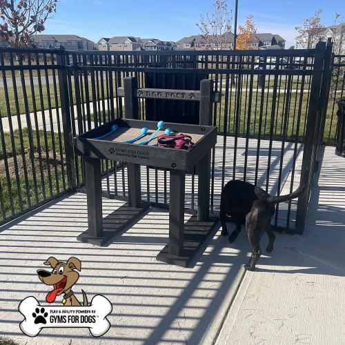 dog playground equipment leash post toy box 12