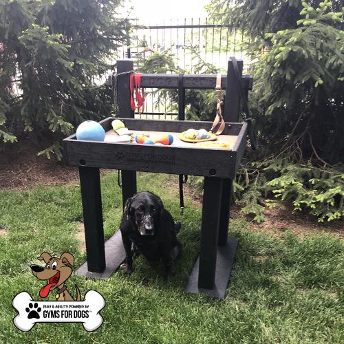 dog playground equipment leash post toy box 14