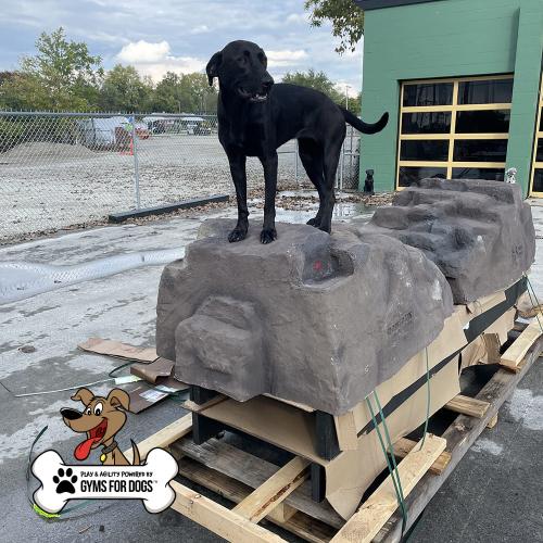 dog playground equipment luxury climbing boulder l 02