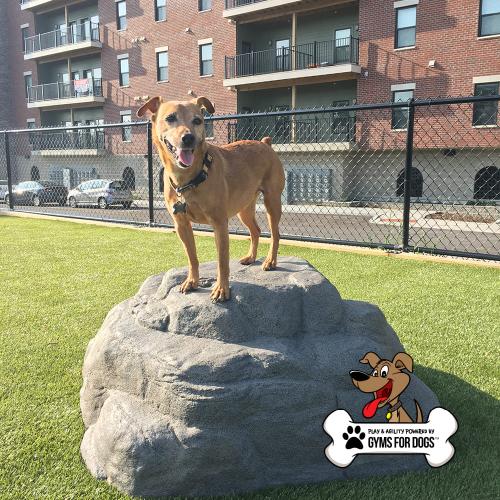 dog playground equipment luxury climbing boulder l 04